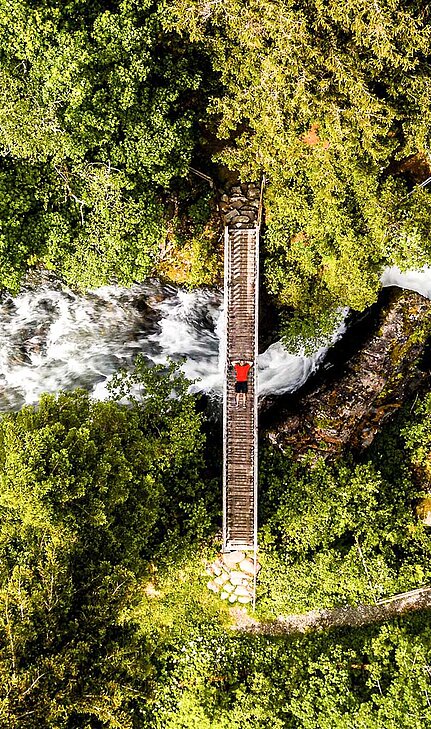 Person auf Hängebrücke über Waldstrom im Nationalpark Hohe Tauern